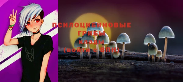 спайс Белокуриха