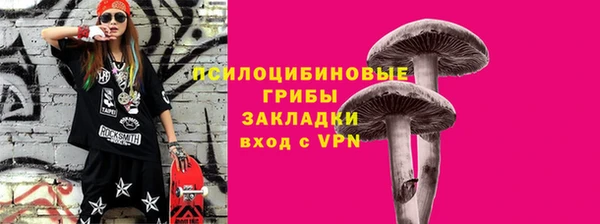 apvp Беломорск