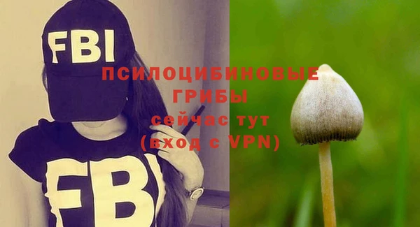 apvp Беломорск