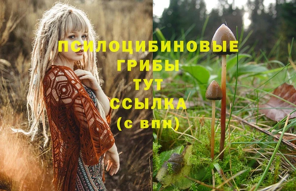 apvp Беломорск