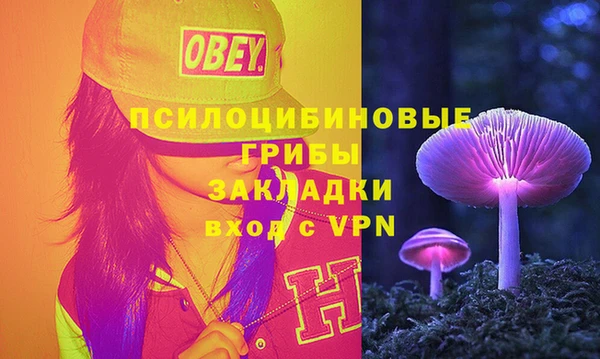 спайс Белокуриха